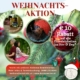 Besondere Weihnachtsaktion: 10€ Rabatt auf alle Einzeltermine im November und Dezember